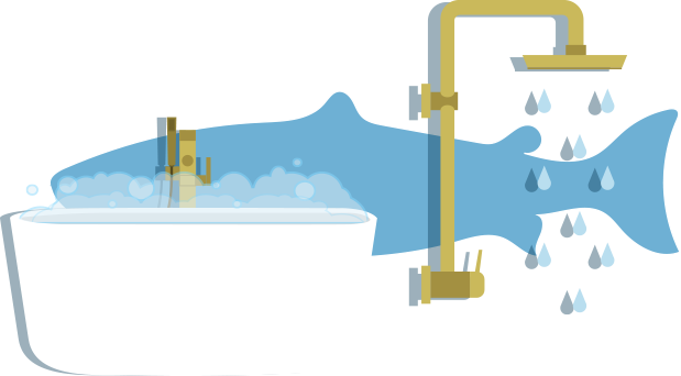 Bathroom and shower installs in Belfast Bathroom and shower installs in Belfast