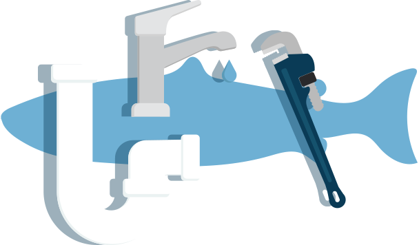 General plumbing services in Belfast General plumbing services in Belfast