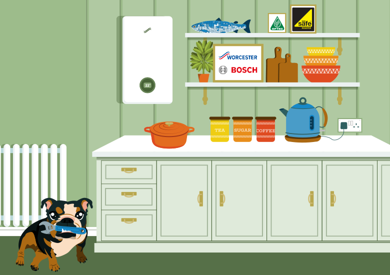 Boiler care service this summer